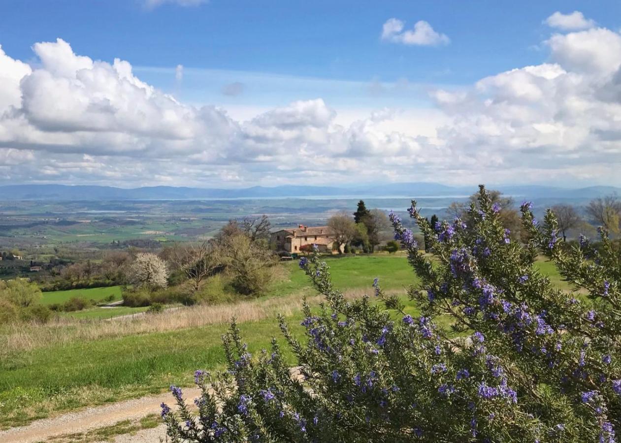 Borgo Poggio Bianco Villa ซาร์เตอาโน ภายนอก รูปภาพ