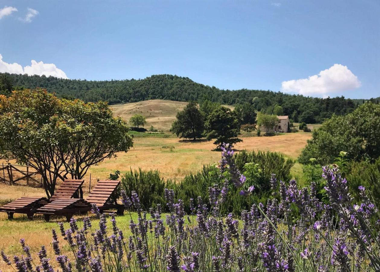 Borgo Poggio Bianco Villa ซาร์เตอาโน ภายนอก รูปภาพ